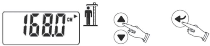 TERRATILLON FITNESS COACH INI - Réglage de la taille - 1