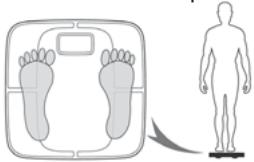 TERRATILLON FITNESS COACH INI - Fonctionnement - 1