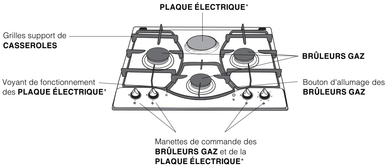 ARISTON PH 631 MS-ANR ANTHR - Vue d'ensemble - 1