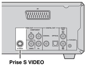 YAMAHA E-810 - Liaison s-video - 1