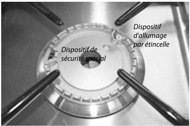 FALCON PROP110DFGB/CEU NOIR - Brûleurs de table de cuisson - 2