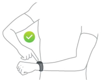TOMTOM TOUCH LARGE NOIR - Mesurer la composition corporelle - 1