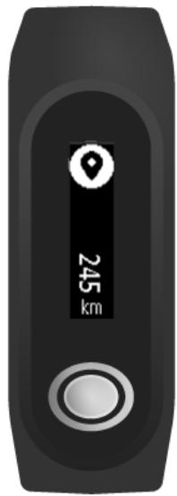 TOMTOM TOUCH LARGE NOIR - Suivre la distance couverte - 1