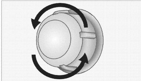 DARTY PR100F560K - Si votre four est équipé d'une lampe ronde : - 1
