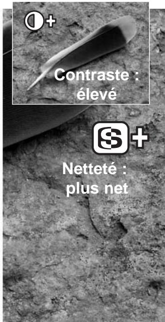 MINOLTA DiMAGE F200 - Effets numériques - 5