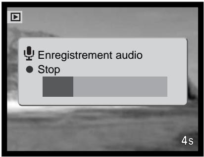 MINOLTA DiMAGE F200 - Légendes audio - 2
