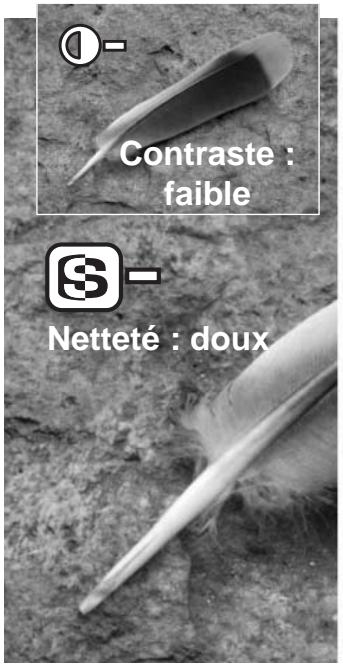 MINOLTA DiMAGE F200 - Effets numériques - 3