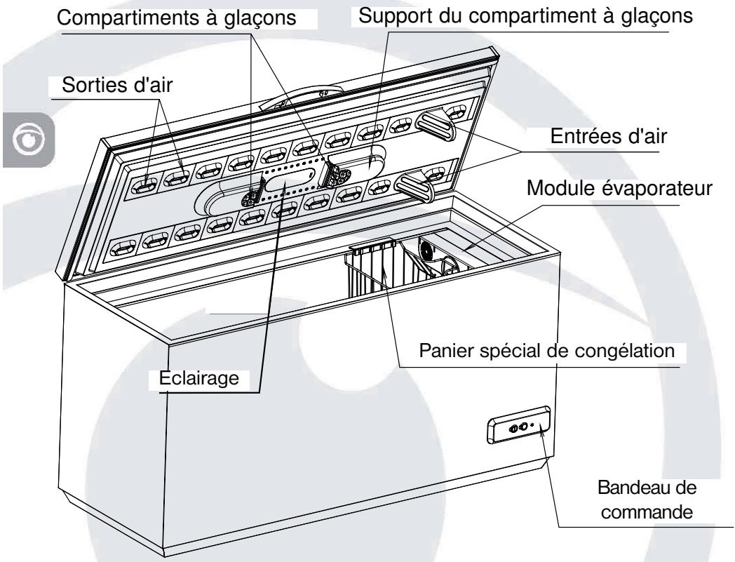 ARTHUR MARTIN ACS 3173 - Le FROID ventilé - 3