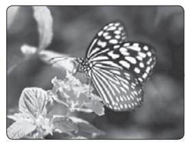 SAMSUNG HT-X720 GT PLATINUM - Fonction Rotation/Retournement - 3