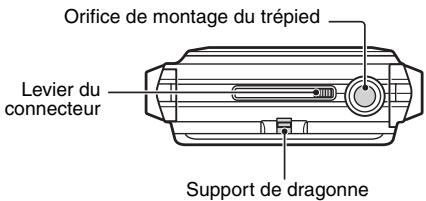 SANYO VPC-PD1EXR - Signification du terme «carte» dans ce manuel - 2