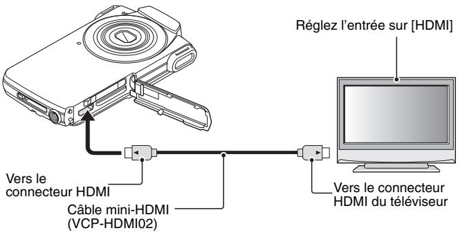 SANYO VPC-PD1EXR - Connexion au connecteur HDMI - 1