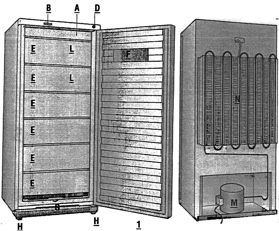 VEDETTE CVE 22 B - Description - 1
