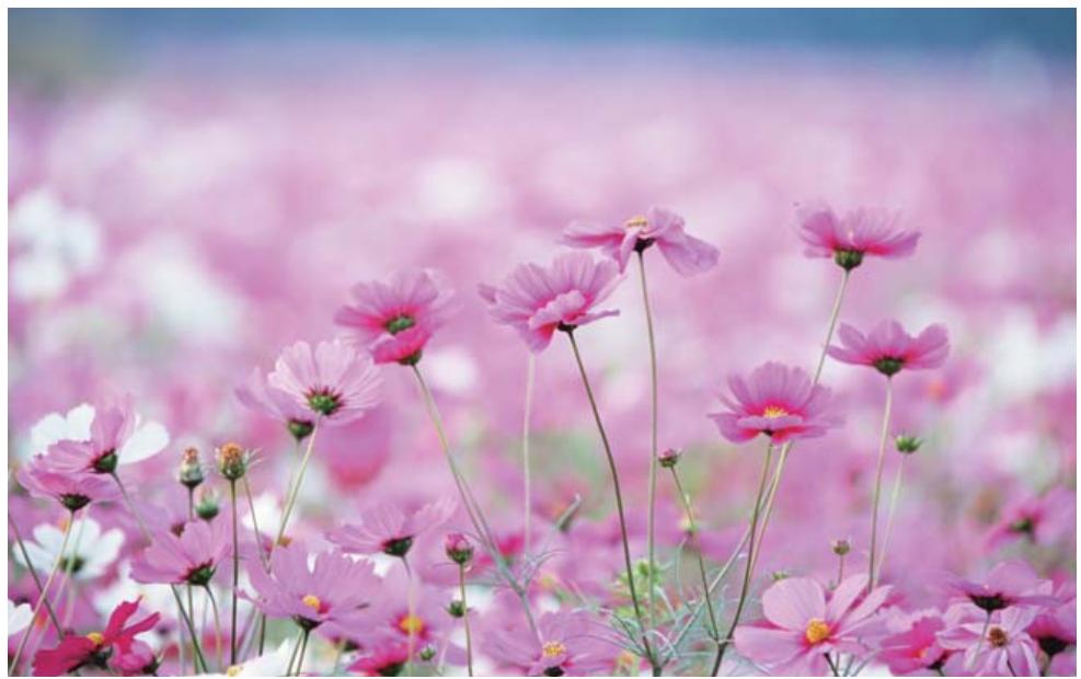 HUAWEI TABLETTE_MULTIMEDIAPACK_MS5LT+MSD - Enregistrer des moments marquants survenant à l'écran - 2