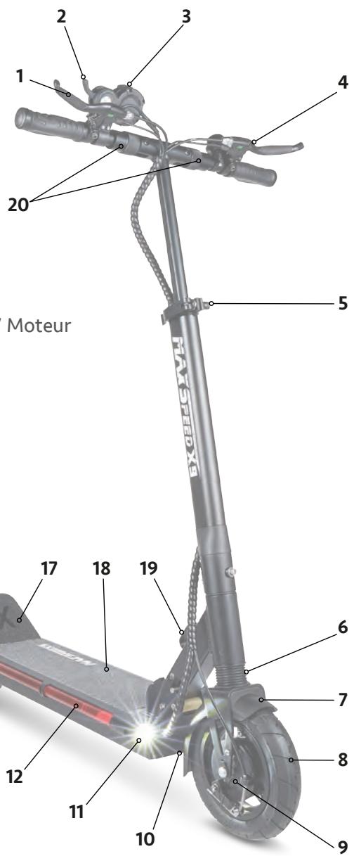 DARTY HILEYTROTTINETTEX9 - - Descriptif général - 1