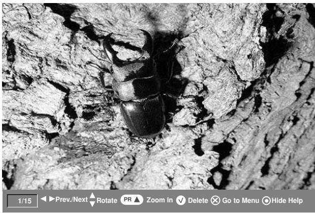LGTELéVISEUR NC - Options d'affichage - 2