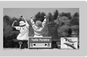 LGTELéVISEUR NC - Taille de PIP - 1