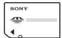 SONY DSLRA850 - Remarques sur l'utilisation des cartes mémoires - 1