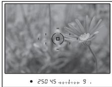 SONY DSLRA850 - Prise de vue avec verrouillage de la mise au point - 2