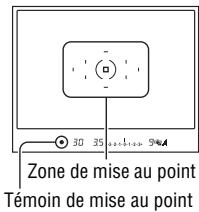 SONY DSLRA850 - AUTO prise de vue avec le réglage automatique - 2