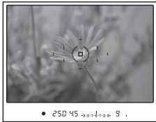 SONY DSLRA850 - Prise de vue avec verrouillage de la mise au point - 1