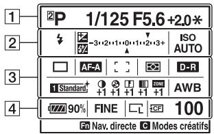 SONY DSLRA850 - Écran LCD (affichage des informations d'enregistrement) - 1