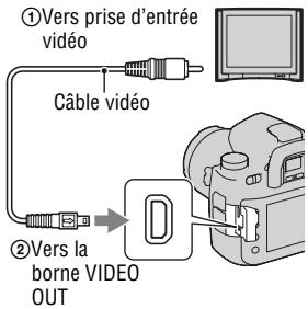 SONY DSLRA850 - Visualisation des images sur un téléviseur - 1