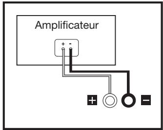 POLK TSX-110B - Connexion des enceintes d'étagère - 1