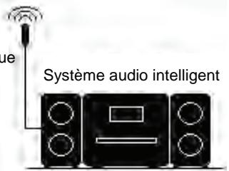 PROLINE CD 1505 WI - Réseau upnp à connexions câblées et sans fil - 1