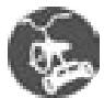 MAGIC BULLET MAGIC BULLET - Félicitations d'avoir acheté le magic bullet, le magicien personnel, - 5