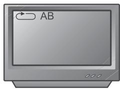 PEEKTON PK 6006 WHITE - Fonction a-b - 3