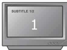 PEEKTON PK 6006 WHITE - Fonction sous-titres - 2