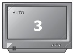 PEEKTON PK 6006 WHITE - Sélection du type de standard TV - 4