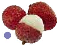 MAGIMIX PACK DUO+GLACIER - Litchi - 3
