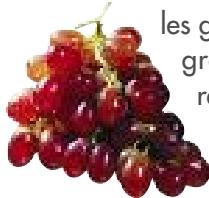 MAGIMIX PACK DUO+GLACIER - Poivron - 2