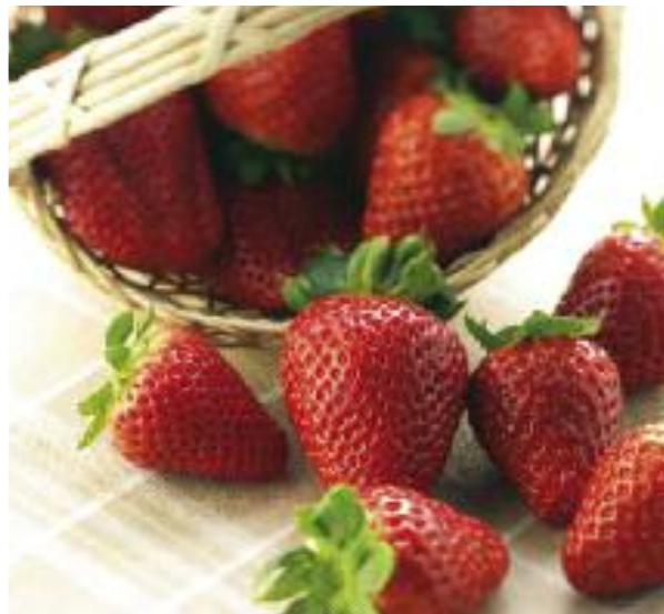 MAGIMIX PACK DUO+GLACIER - 600 g - 23