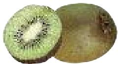 MAGIMIX PACK DUO+GLACIER - Gingembre - 8