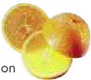 MAGIMIX PACK DUO+GLACIER - Agrumes - 5