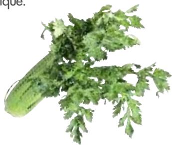 MAGIMIX PACK DUO+GLACIER - Céleri branch - 4