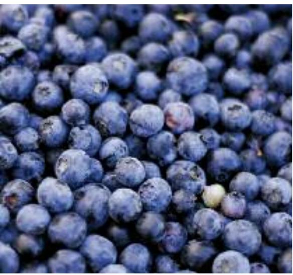 MAGIMIX PACK DUO+GLACIER - 600 g - 20