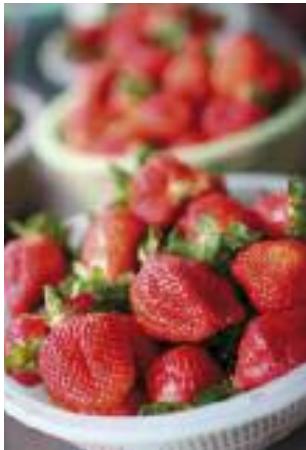 MAGIMIX PACK DUO+GLACIER - Printemps - 1