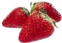 MAGIMIX PACK DUO+GLACIER - Fenouil - 1