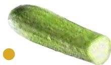 MAGIMIX PACK DUO+GLACIER - Concombre - 3