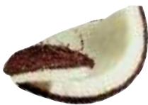 MAGIMIX PACK DUO+GLACIER - Coco (noix de) - 1