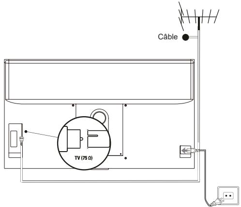 TCL 85C845 - Branchez l'alimentation et l'antenne - 1