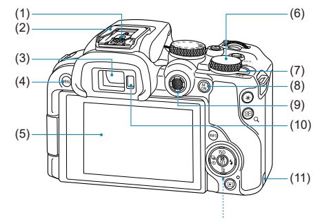 CANON EOS R10 - Fixation de la courroie - 2