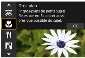 CANON EOS R10 - Conseils de prise de vue - 1