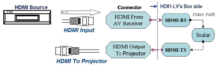 OPTOMAR HD81 - Option 3 - 1