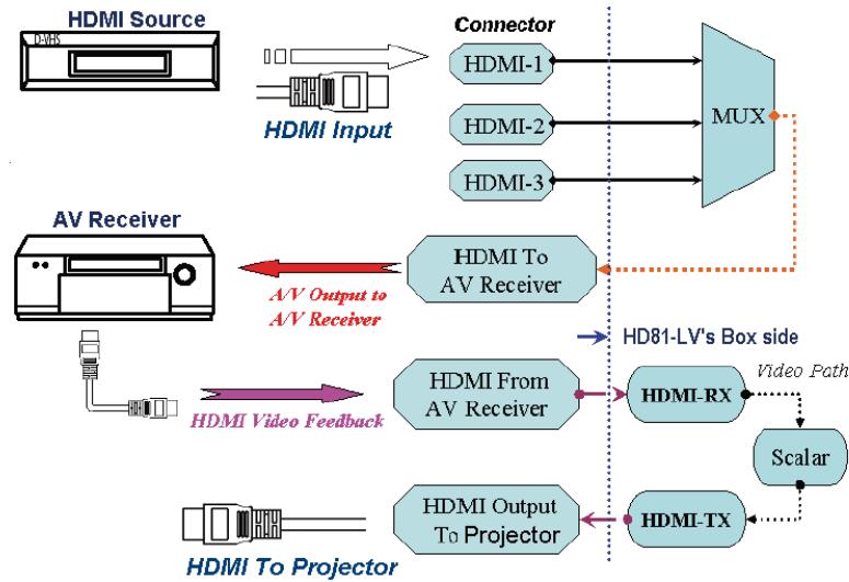 OPTOMAR HD81 - Option 1 - 1