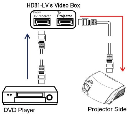 OPTOMAR HD81 - Option 3 - 2