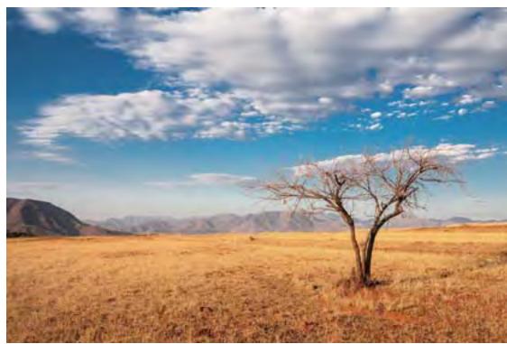 HONOR 6C GOLD4321049 - Mode Time-lapse - 1